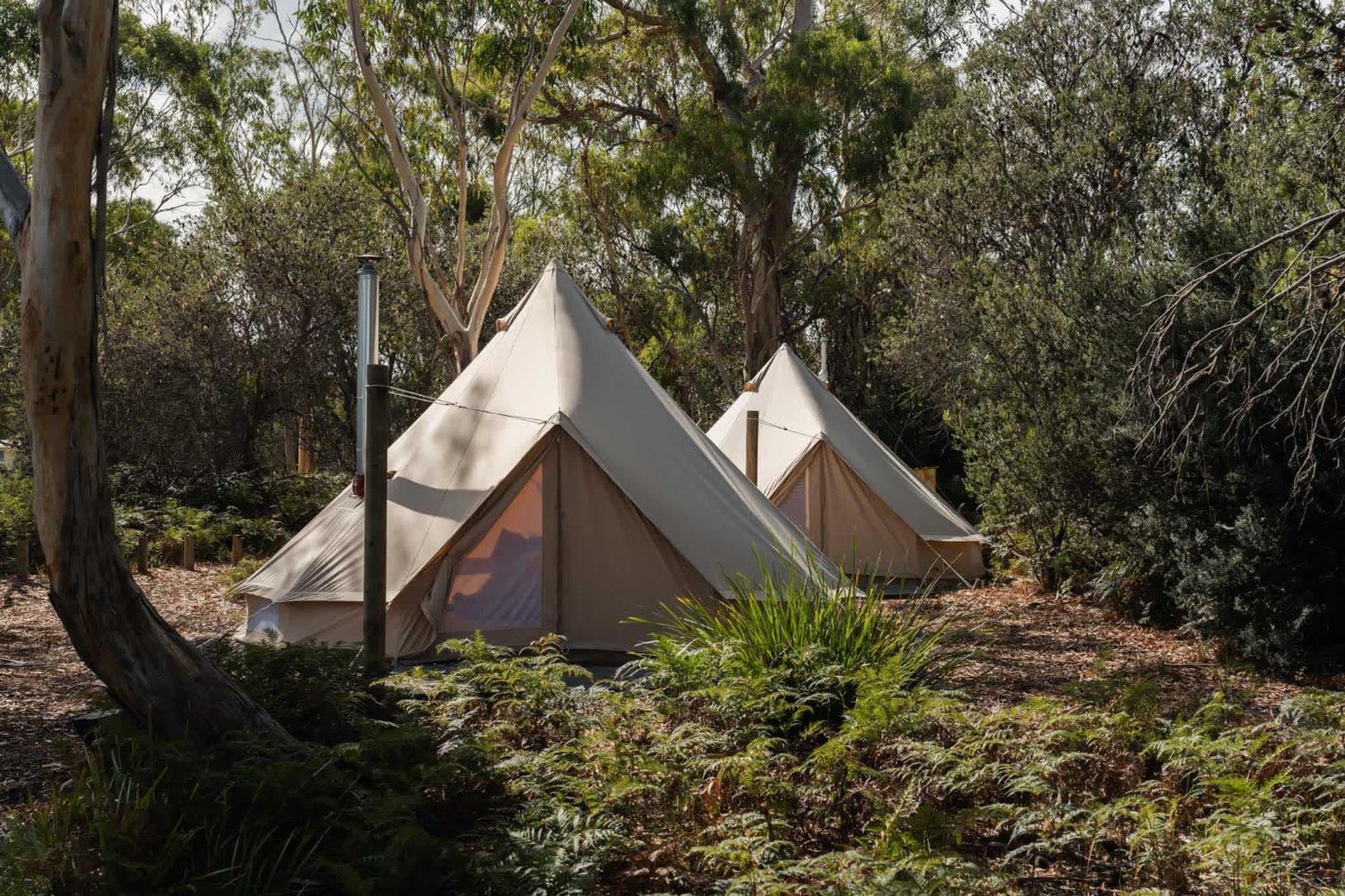 Numie - Freycinet Peninsula - Glamping - Heated - Waterfront Hotel Coles Bay Kültér fotó