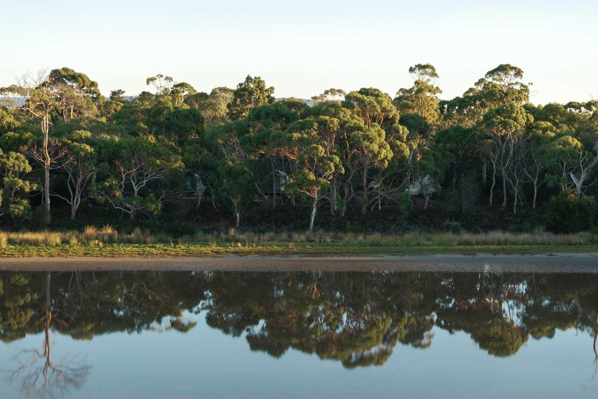 Numie - Freycinet Peninsula - Glamping - Heated - Waterfront Hotel Coles Bay Kültér fotó