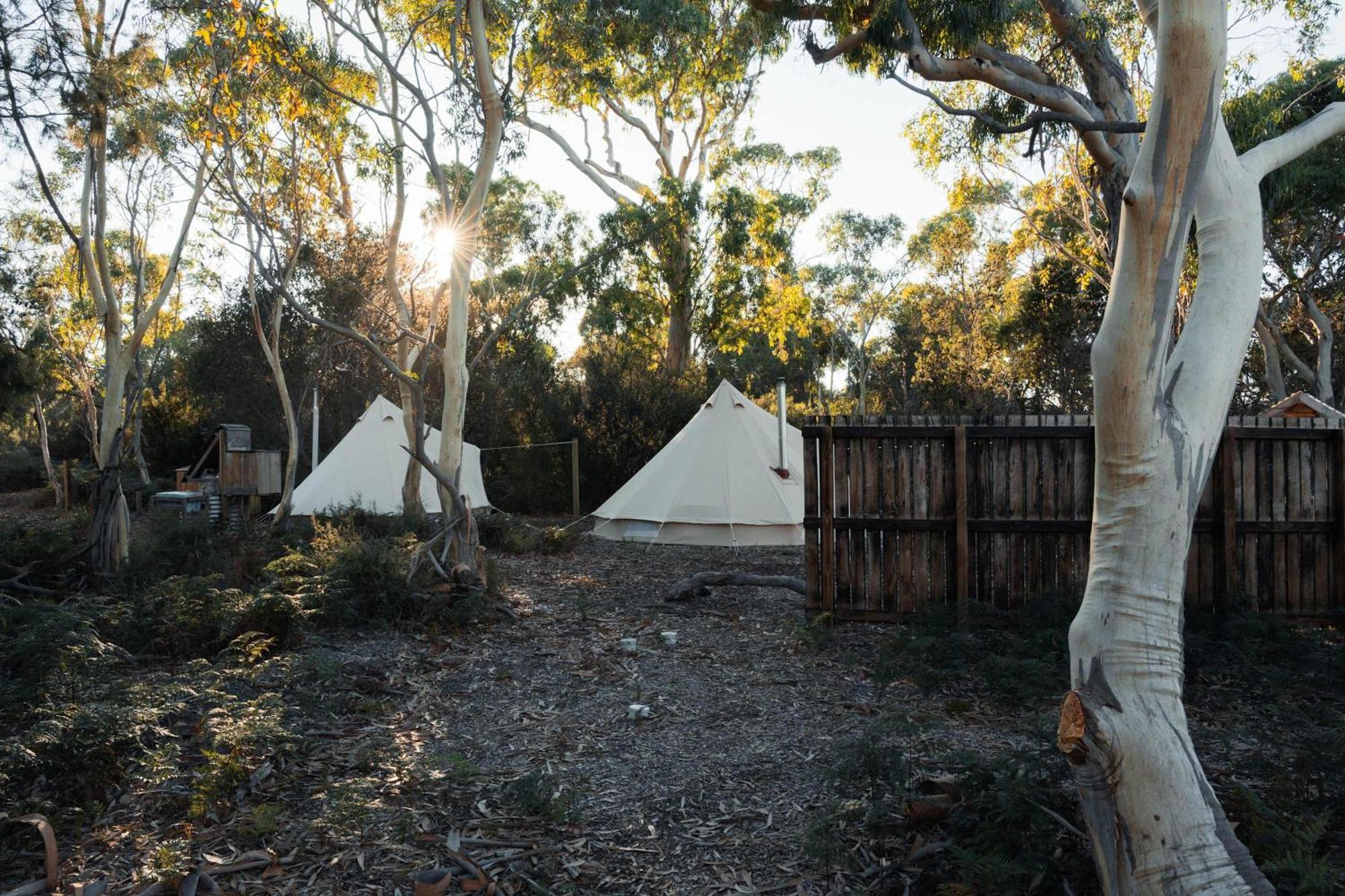 Numie - Freycinet Peninsula - Glamping - Heated - Waterfront Hotel Coles Bay Kültér fotó
