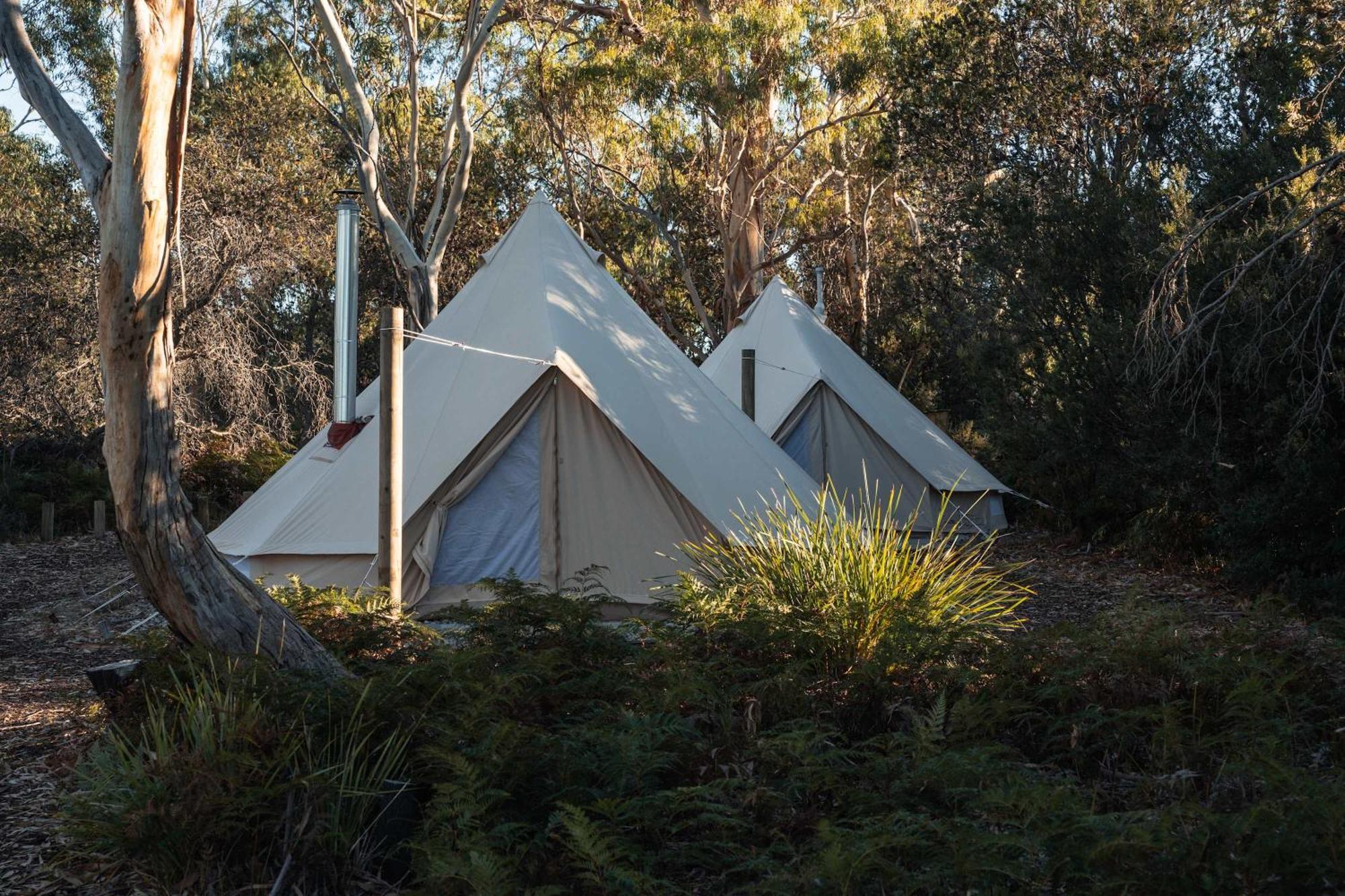Numie - Freycinet Peninsula - Glamping - Heated - Waterfront Hotel Coles Bay Kültér fotó