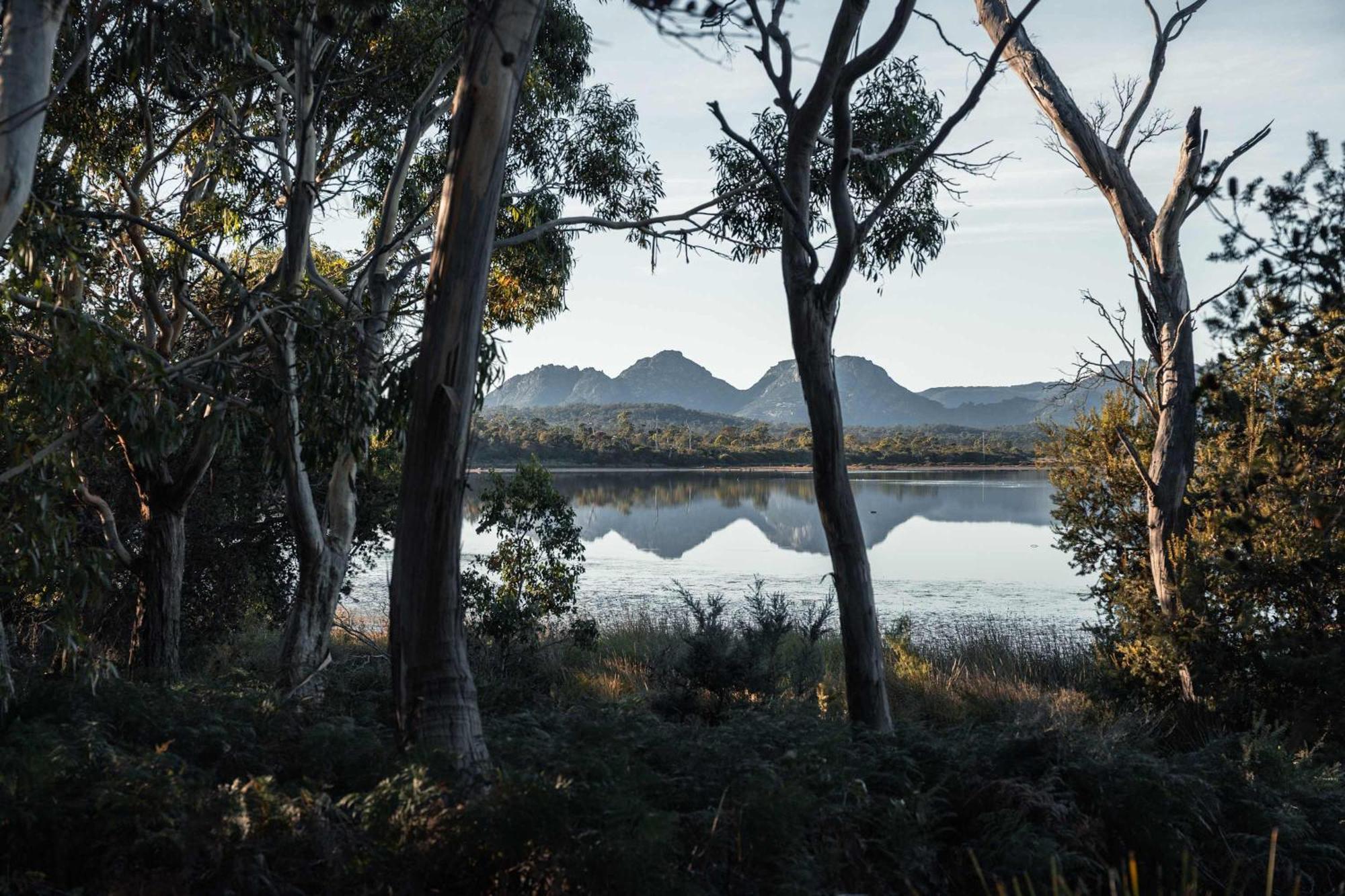 Numie - Freycinet Peninsula - Glamping - Heated - Waterfront Hotel Coles Bay Kültér fotó