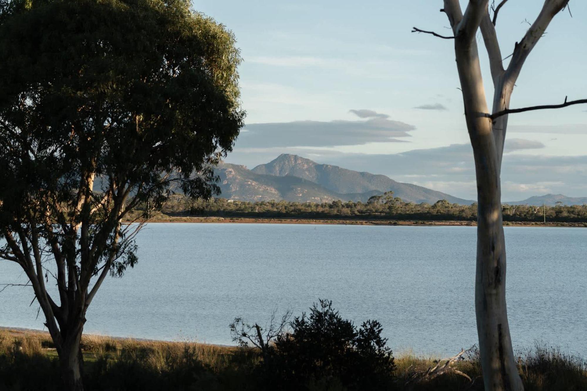 Numie - Freycinet Peninsula - Glamping - Heated - Waterfront Hotel Coles Bay Kültér fotó